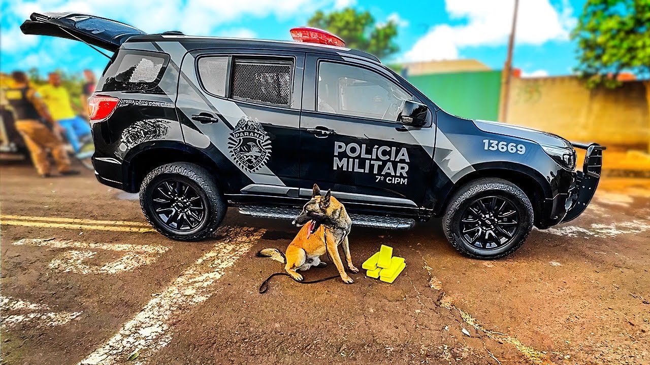 FINAL DA OPERAÇÃO!!! OLHA O TANTO DE COISAS QUE PEGAMOS.
