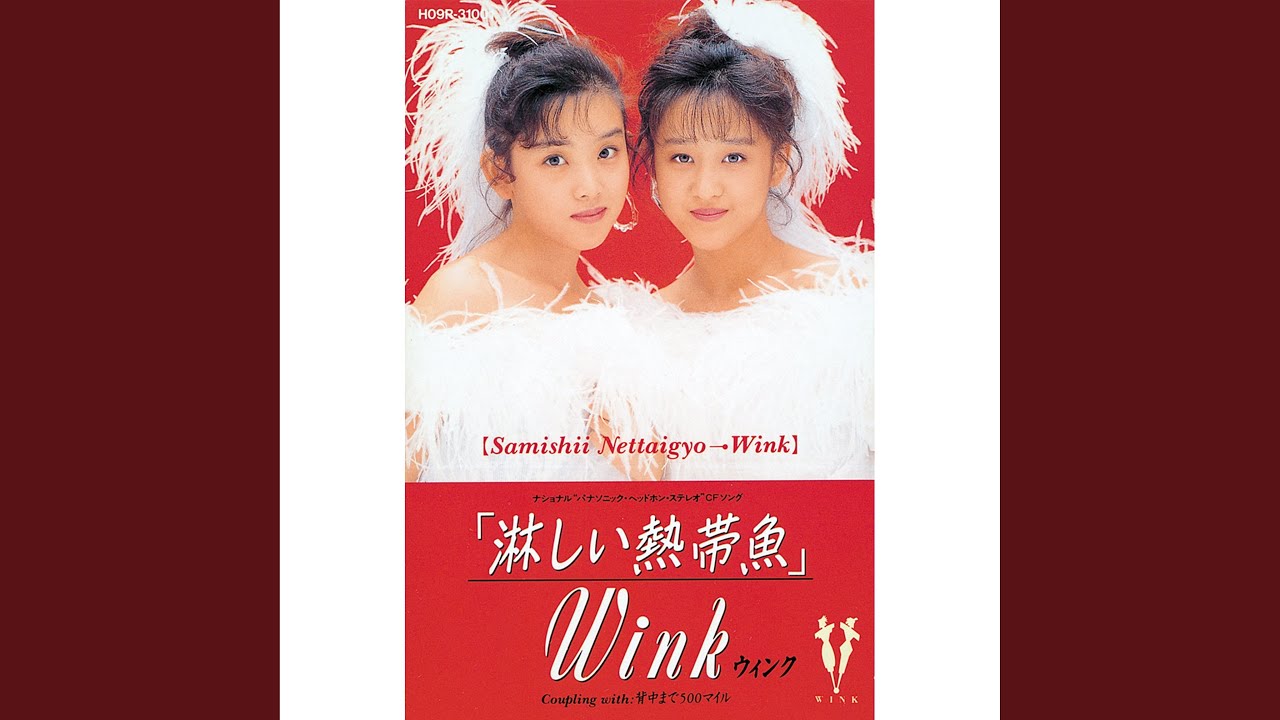 淋しい熱帯魚