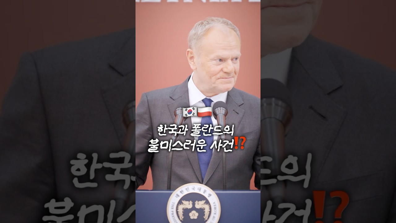 2002년 한일 월드컵...기억하시나요?🇵🇱⚽️