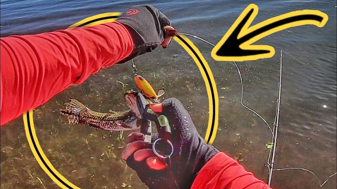 NÃO FAÇAM ISSO!! NÃO FUNCIONOU COMIGO - Pescaria de traíra - WHOPPER PLOPPER