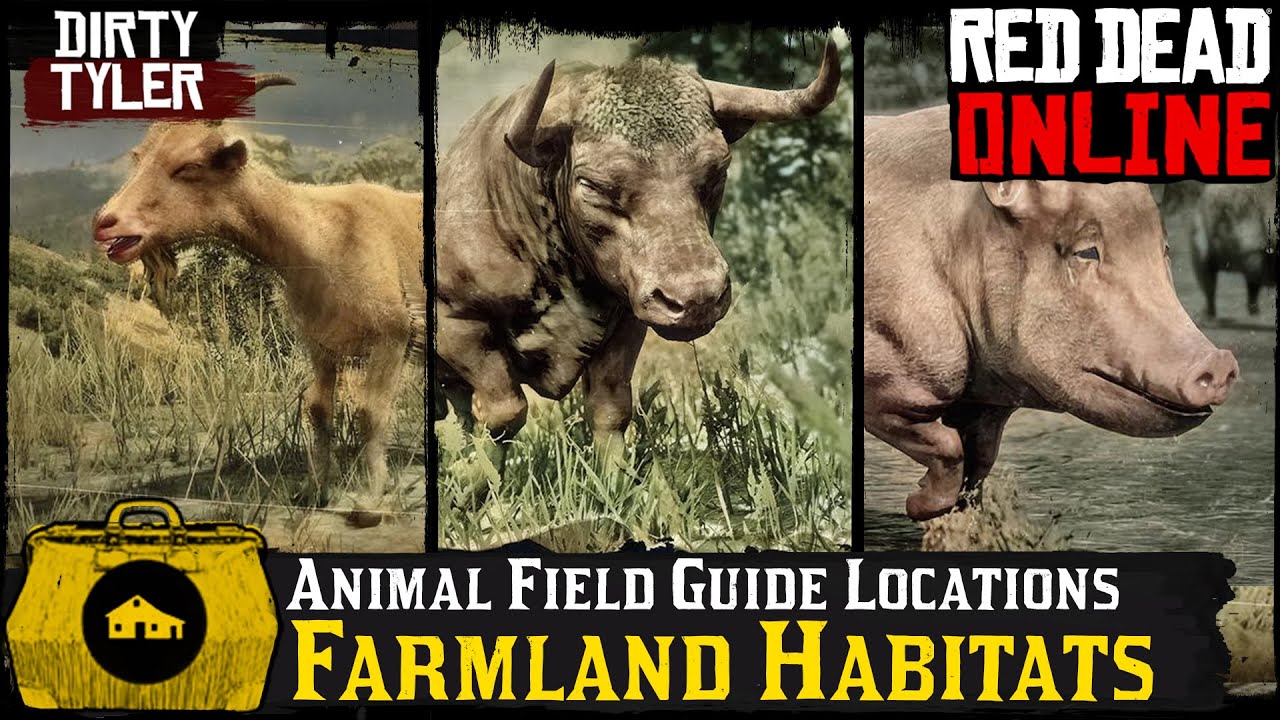 Red Dead Online Animal Field Guide All Farmland Habitat Location RDR2