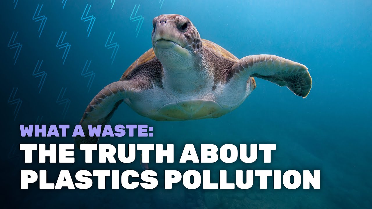 What A Waste: The Truth About Plastics Pollution