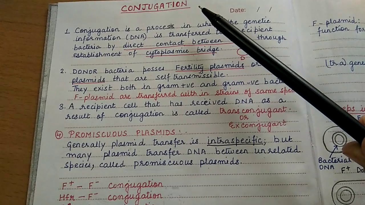 Conjugation (Genetic recombination in bacteria)