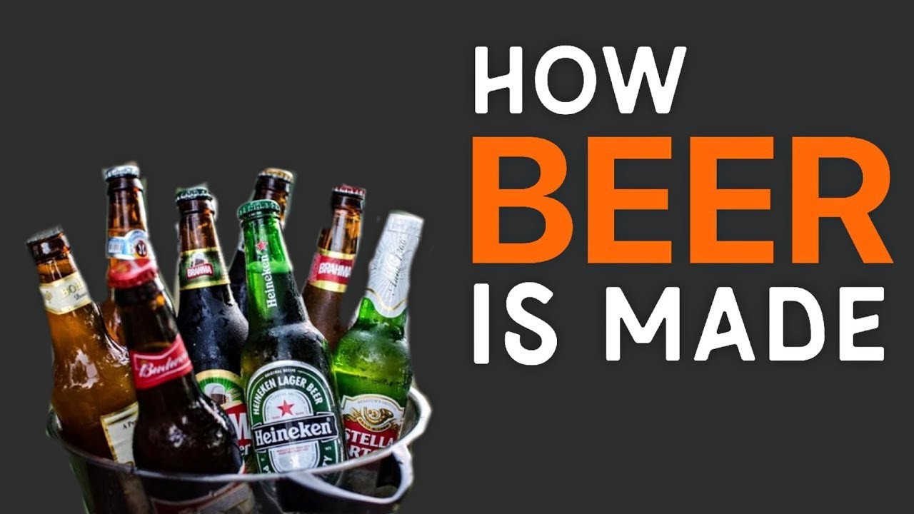 How beer is made in factory | Manufacturing process of beer in the world