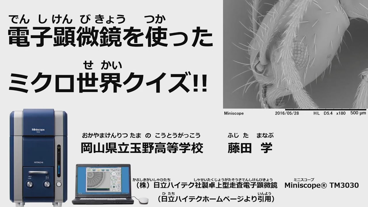 電子顕微鏡を使ったミクロ世界クイズ（ポケットサポート）