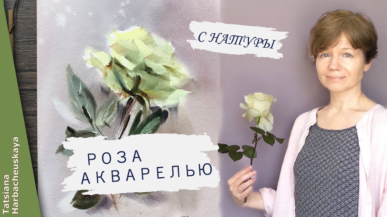 Белая Роза акварелью