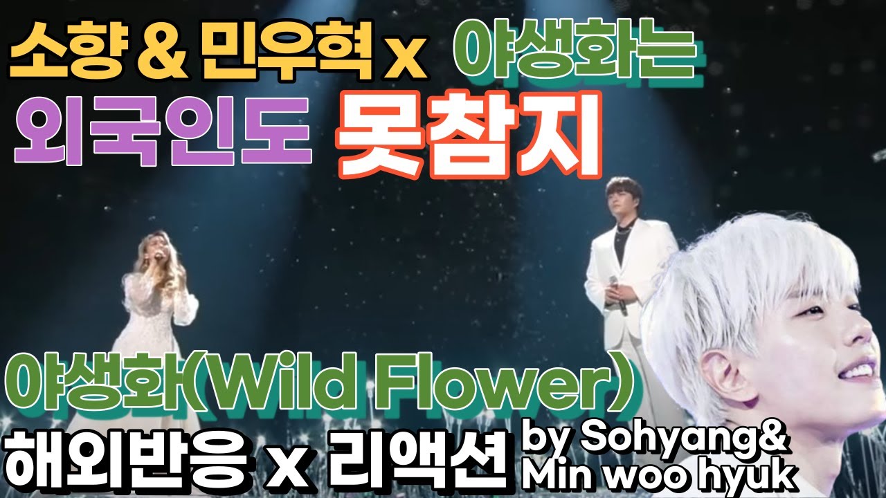 가사는 이해 못한 외국인들도 눈물 감동시키는 소향 민우혁 야생화 박효신 재해석 wildflower 해외반응 리액션 한글자막 sohyang reaction