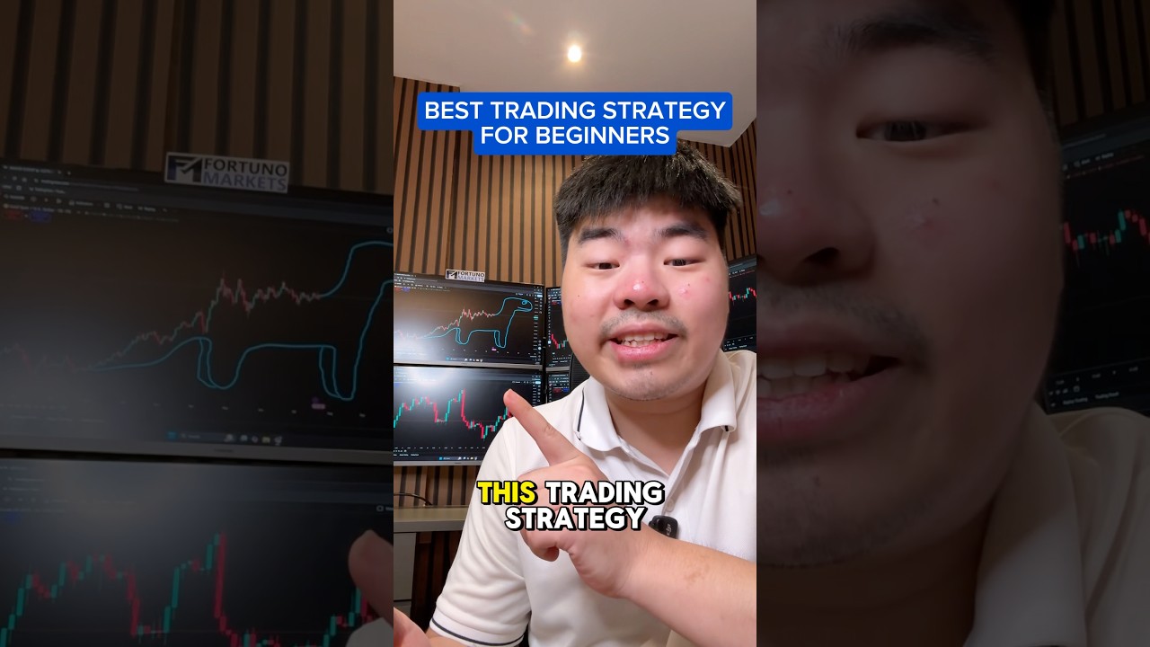 Best Trading Strategy for Beginners 