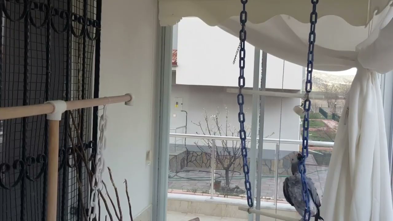 ÇAKIL SALINCAKTA İNSAN GİBİ SALLANIR NOSTALJİ