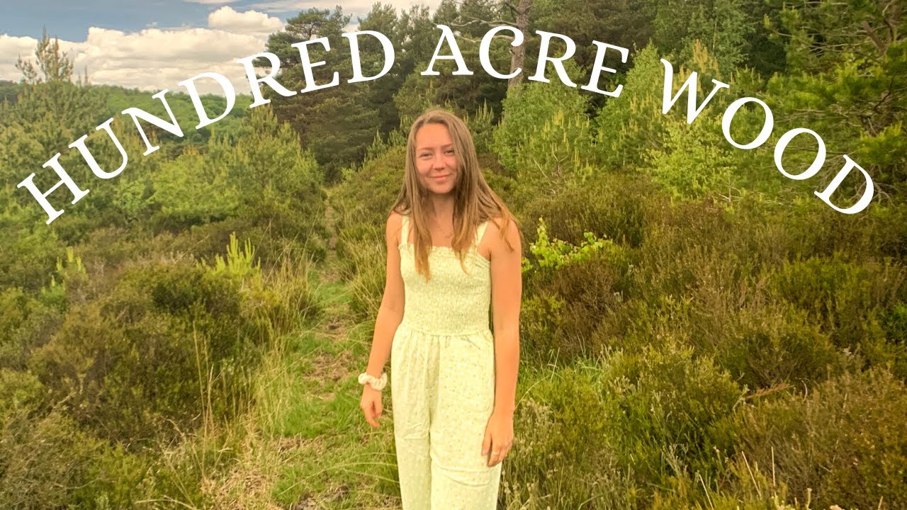 Exploring the REAL 100 Acre Wood - A Cottage Break in the Ashdown Forest