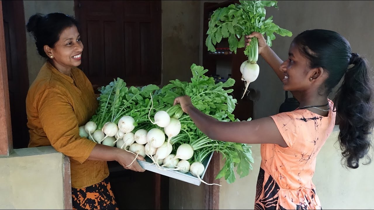 Village Dinner with Radish ❤️ Radish Paratha with Radish Curry (Sambar) and Radish Snacks (Pakora)