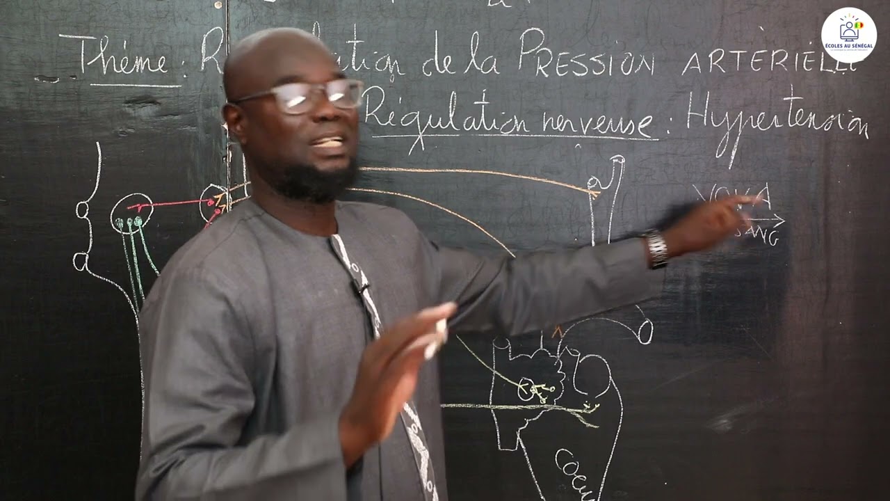 Cours - Tle S1 & S2 - SVT: Résumé de cours / Régulation de la pression artérielle / M. Gnass