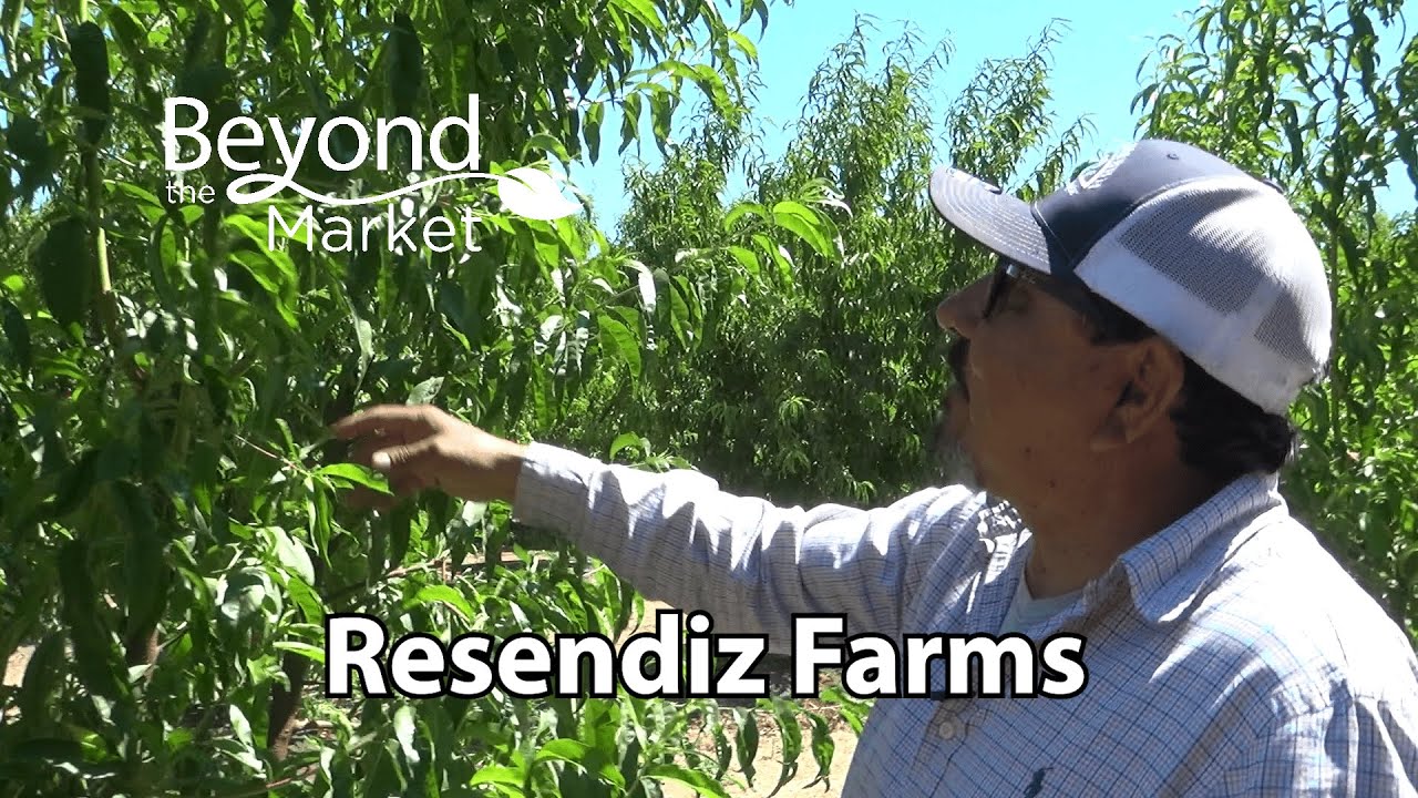 Beyond the Market at Resendiz Farms