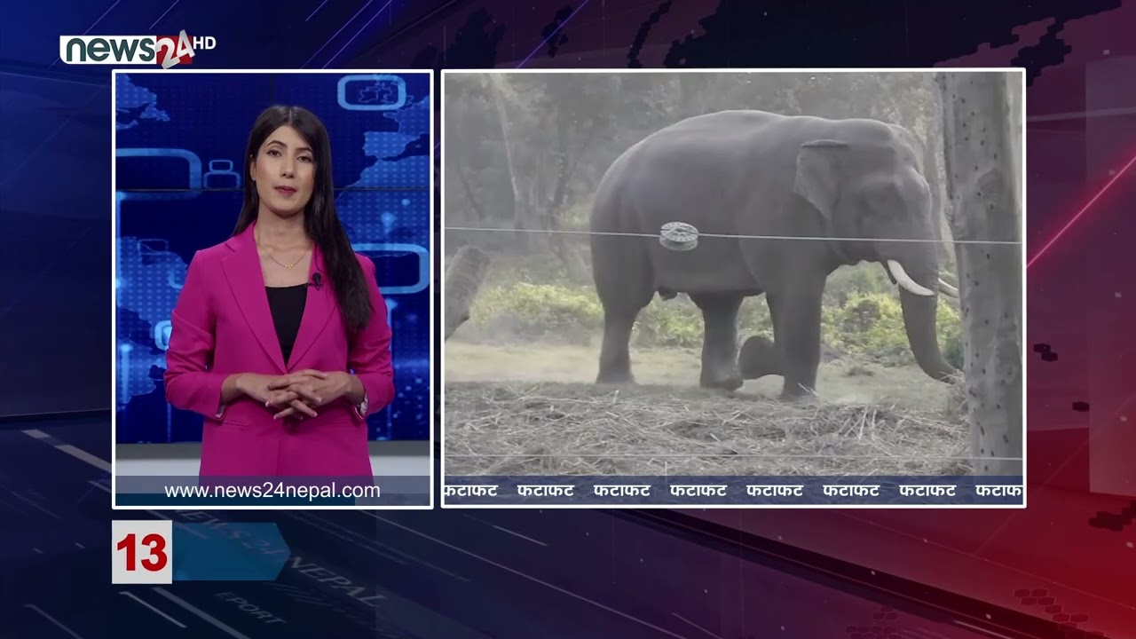 AFTERNOON NEWS FATAFAT- NEWS24 TV