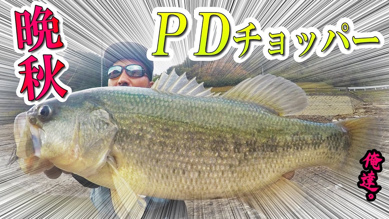 神のアクションで釣る！これぞ神回☆【PDチョッパー】