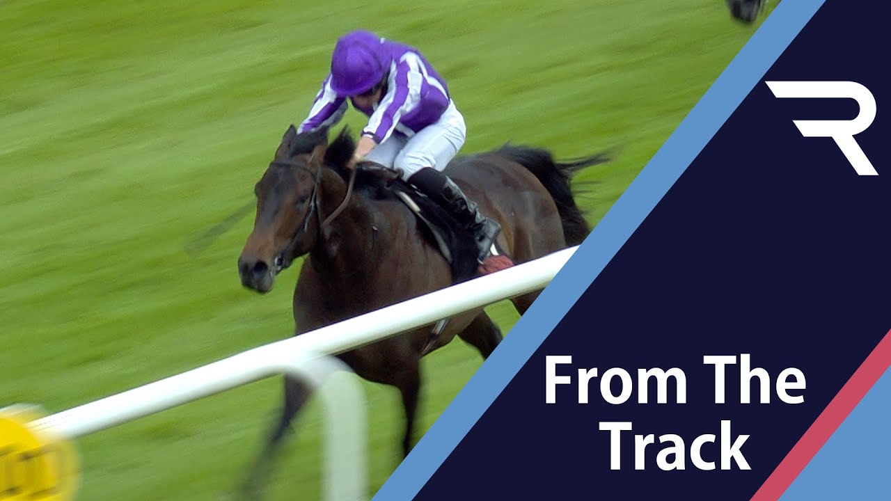 Unbeaten! Blackbeard stamps Royal Ascot claims in Marble Hill