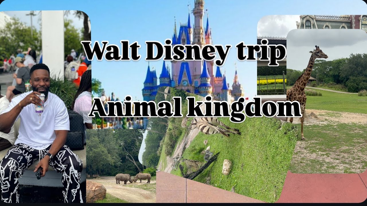 Animal Kingdom at Disney World: Ultimate Park Experience 2025