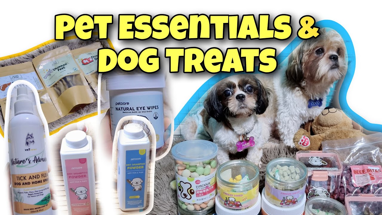 My Furbabies Morning Routine | Pet Essentials | Dog treats | FurMom Mitchz