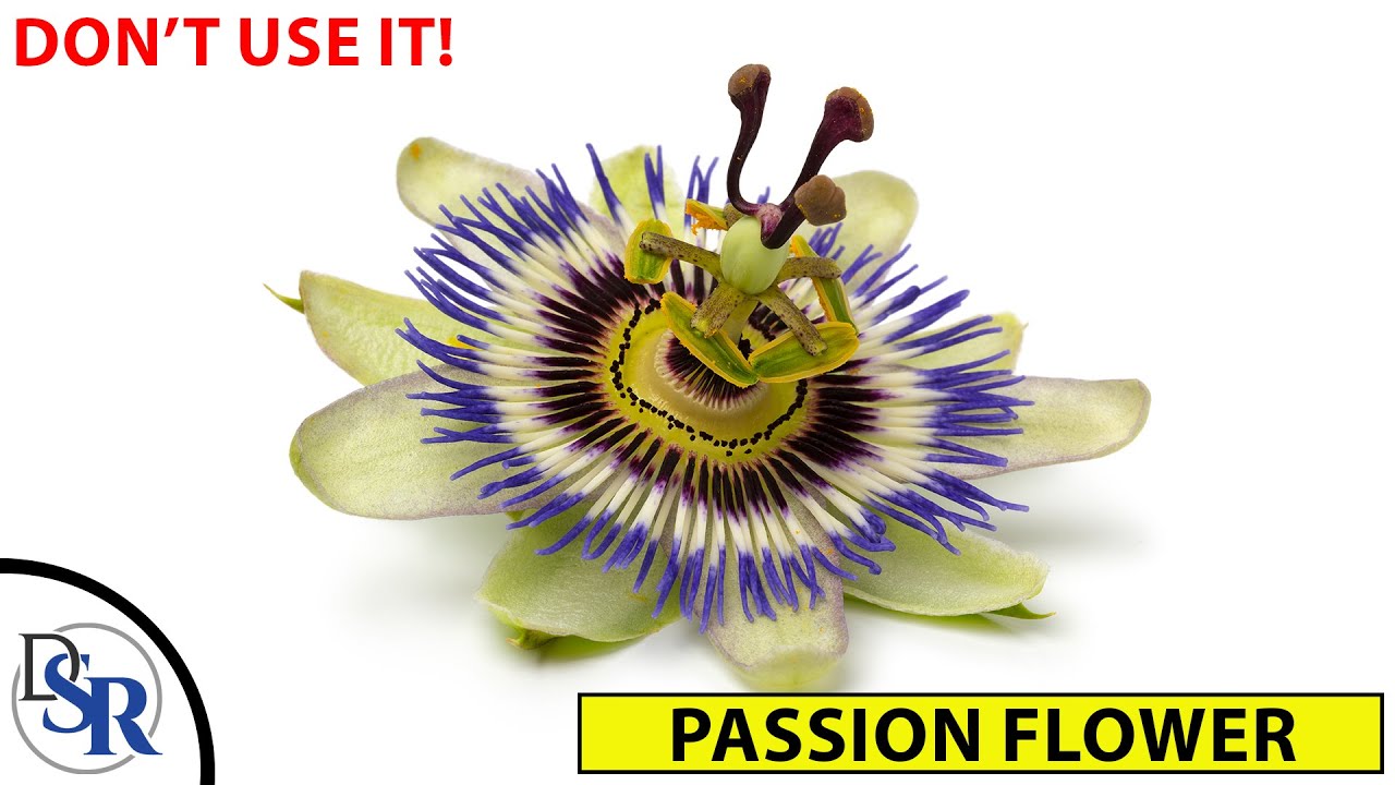Passion Flower - Don't use it until you watch this!