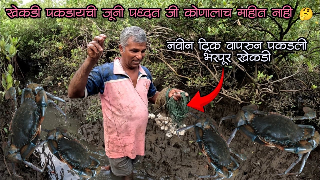 १०० वर्ष जुनी खेकडे पकडायची पद्धत जी कोणालाच माहीत नाही 🦀|old crab catching tricks|#crab #fishing
