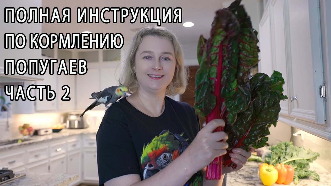 САМЫЕ ПОЛЕЗНЫЕ ПРОДУКТЫ ДЛЯ ПОПУГАЕВ | ОВОЩИ И ЗЕЛЕНЬ
