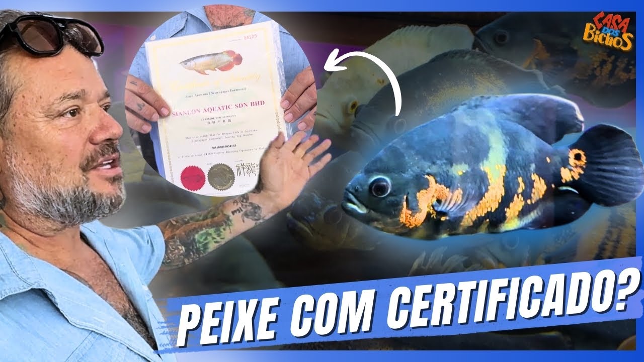 NÃO É QUALQUER UM QUE PODE TER ESSE PEIXE 🐟😳 VEJA O MOTIVO