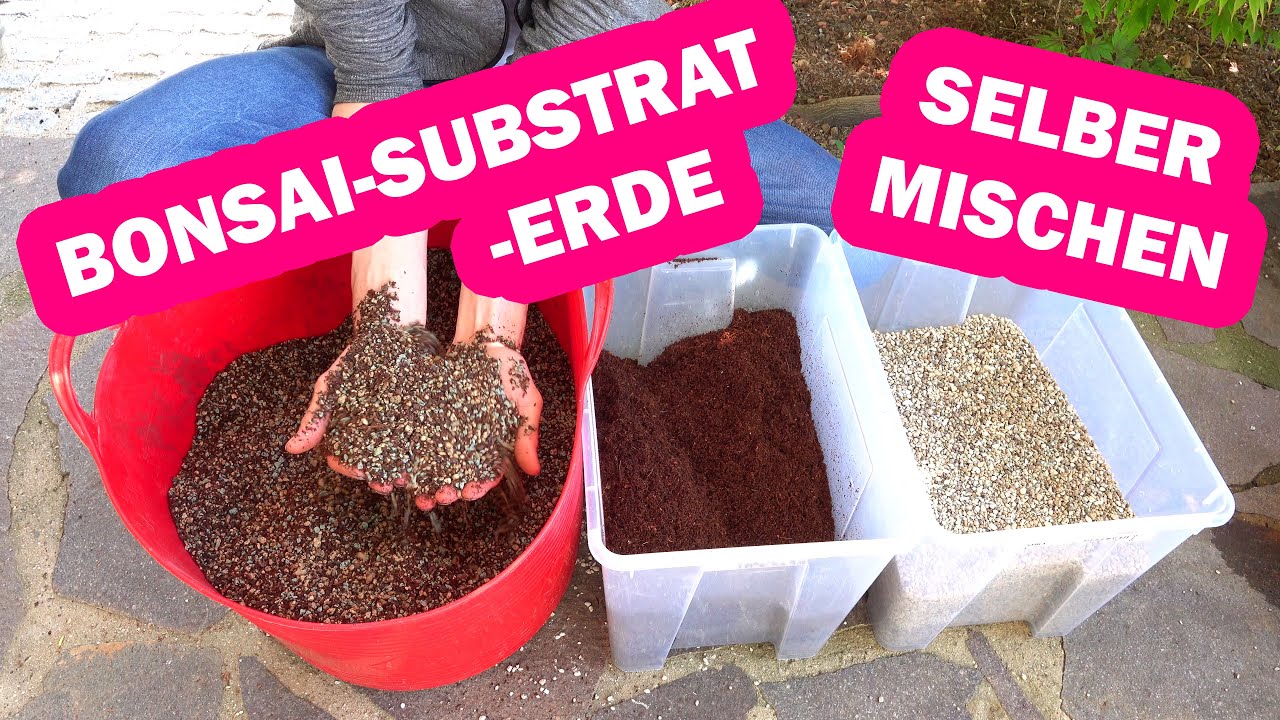 Bonsai  & Pflanzen Substrate selber mischen