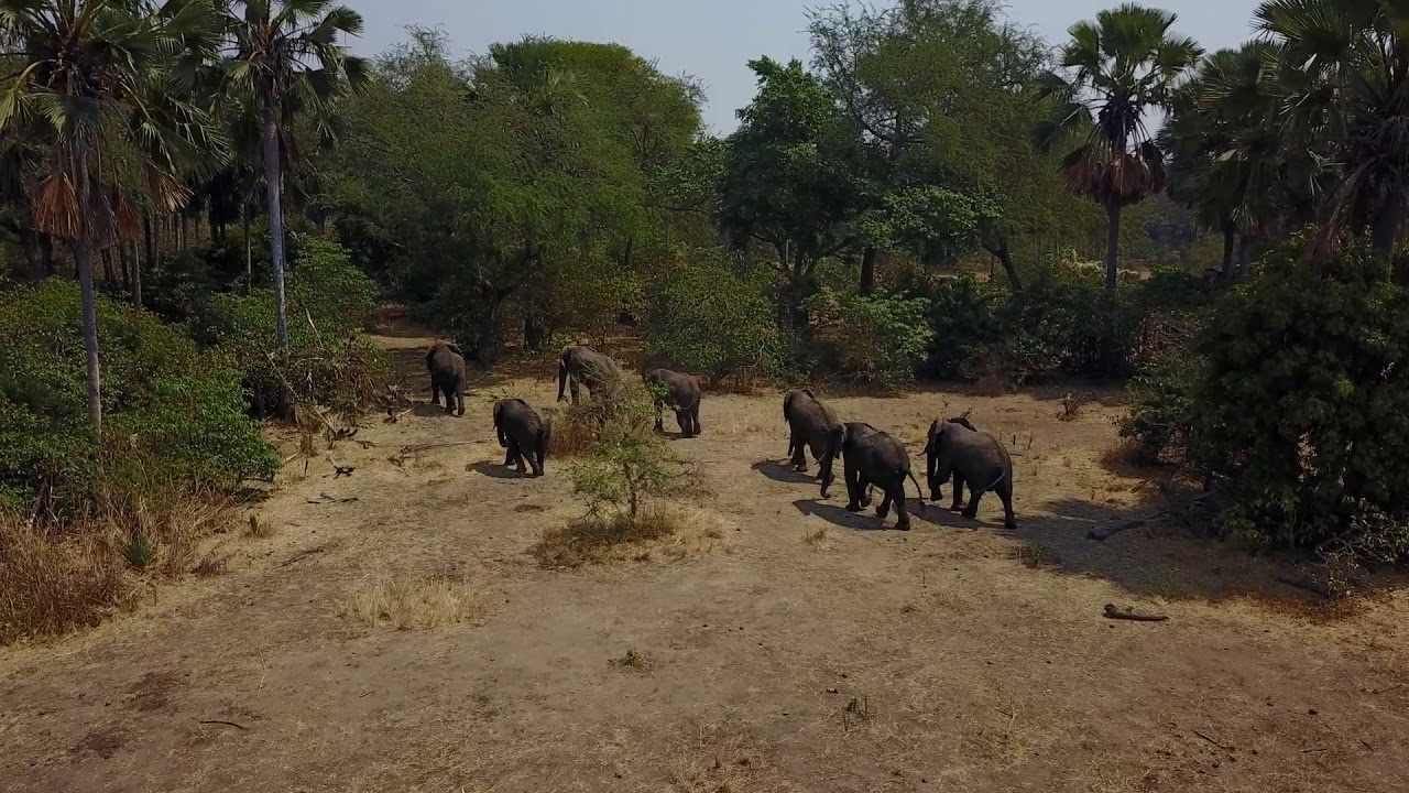 Mvuu Camp | Liwonde National Park | Malawi