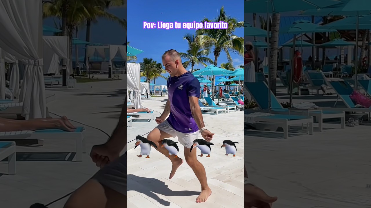 Les tenemos una SORPRESA 🐧🤩 // 