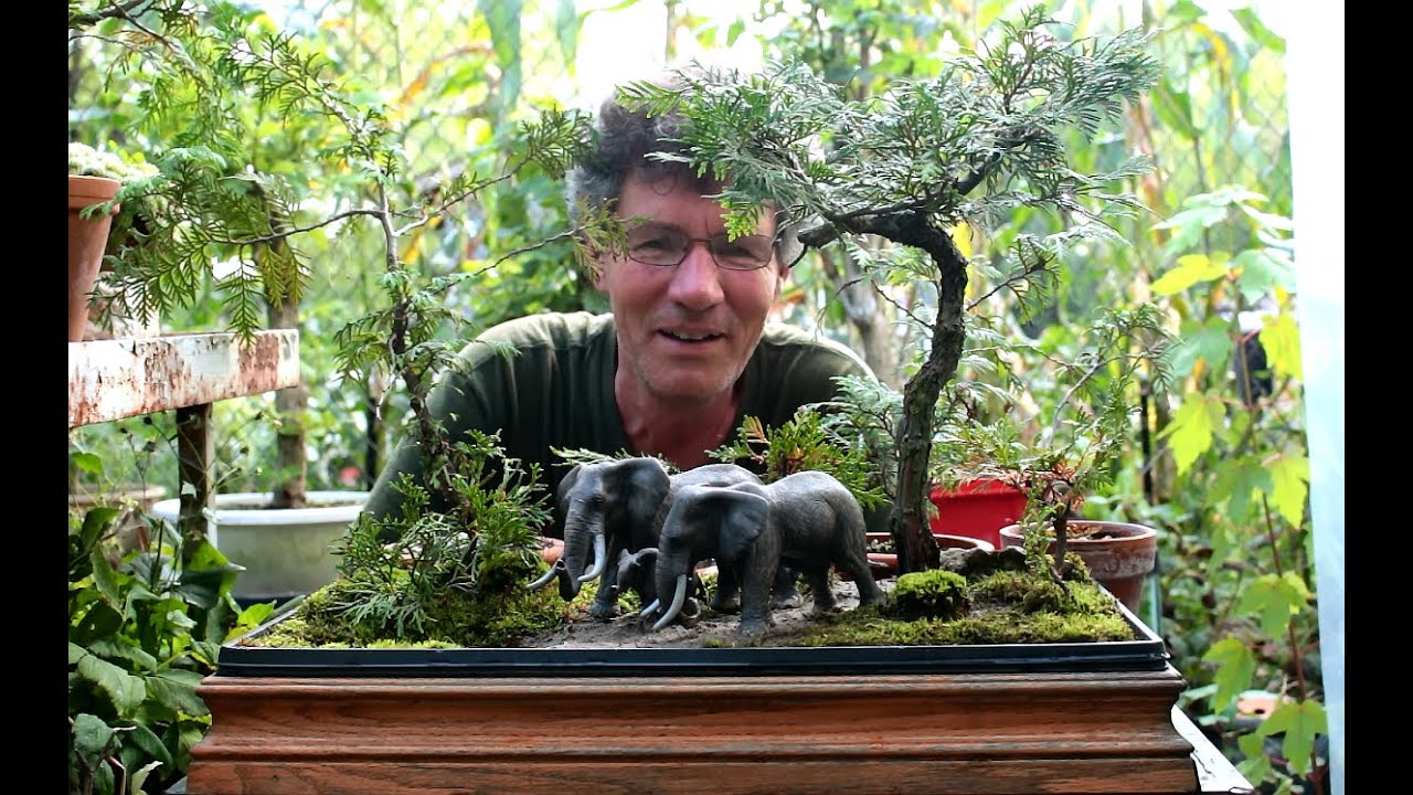 Elephant Penjing with Cedar Tree Bonsai, Sept 2016