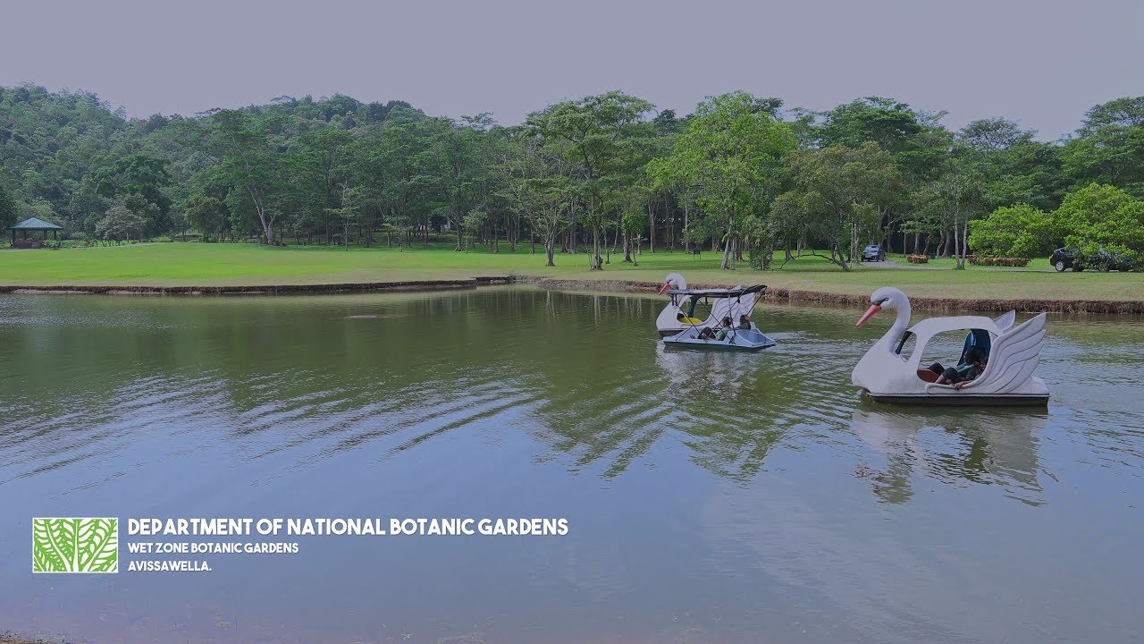 AVISSAWELLA BOTANIC GARDEN Official Video
