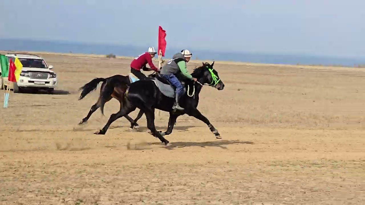 🥇🏆1-Орун 