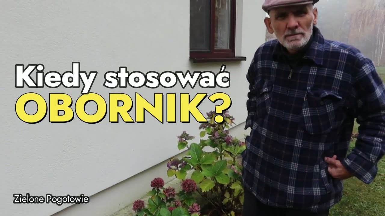 Czy w listopadzie można nawozić rośliny obornikiem?