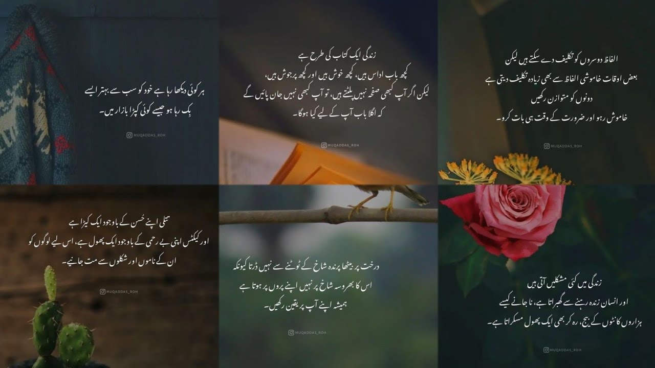 Life Changing Motivational Quotes In Urdu | Motivational Quotes |