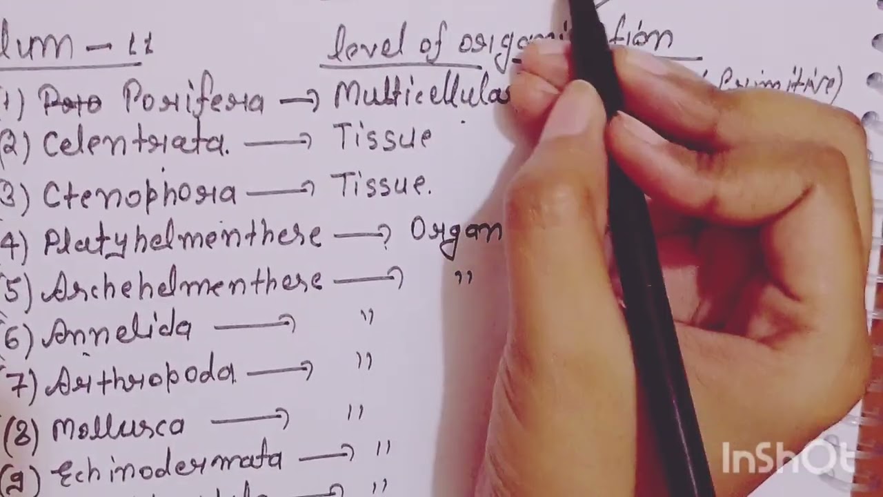 "Animal Kingdom Handwritten Notes | Quick Revision for NEET 2025" 