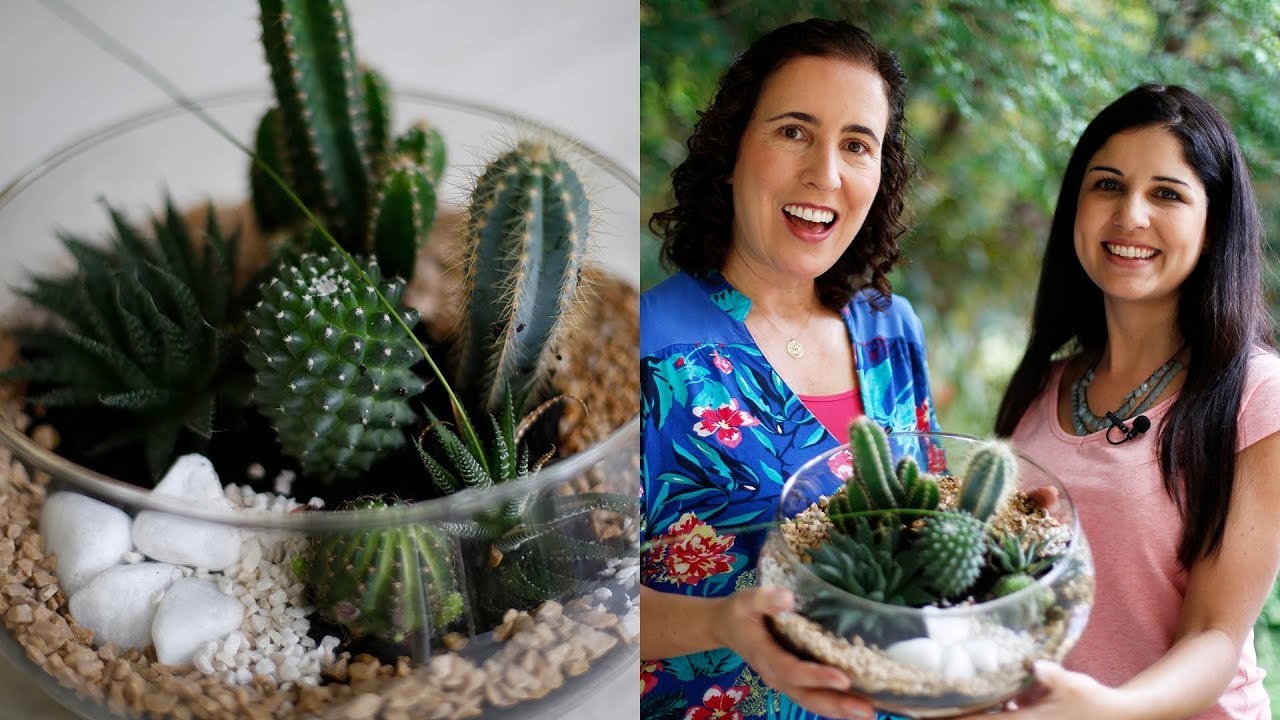 Como Fazer Terrário Moderno (Part. Alice Barra) | Nô Figueiredo