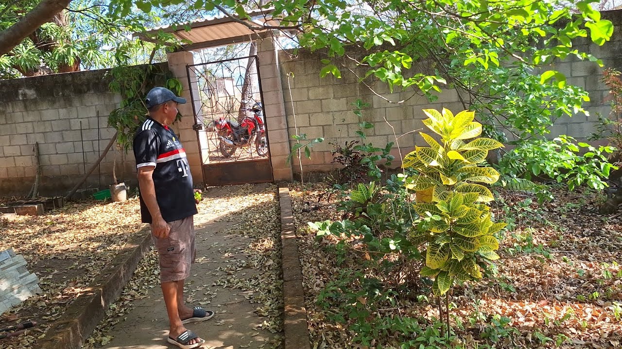 VISITAMOS LA CASA DE DON CARLOS Y BEAN QUE HERMOSURA DE PALOS FRUTALES TIENE🤗🤗🤗🙏