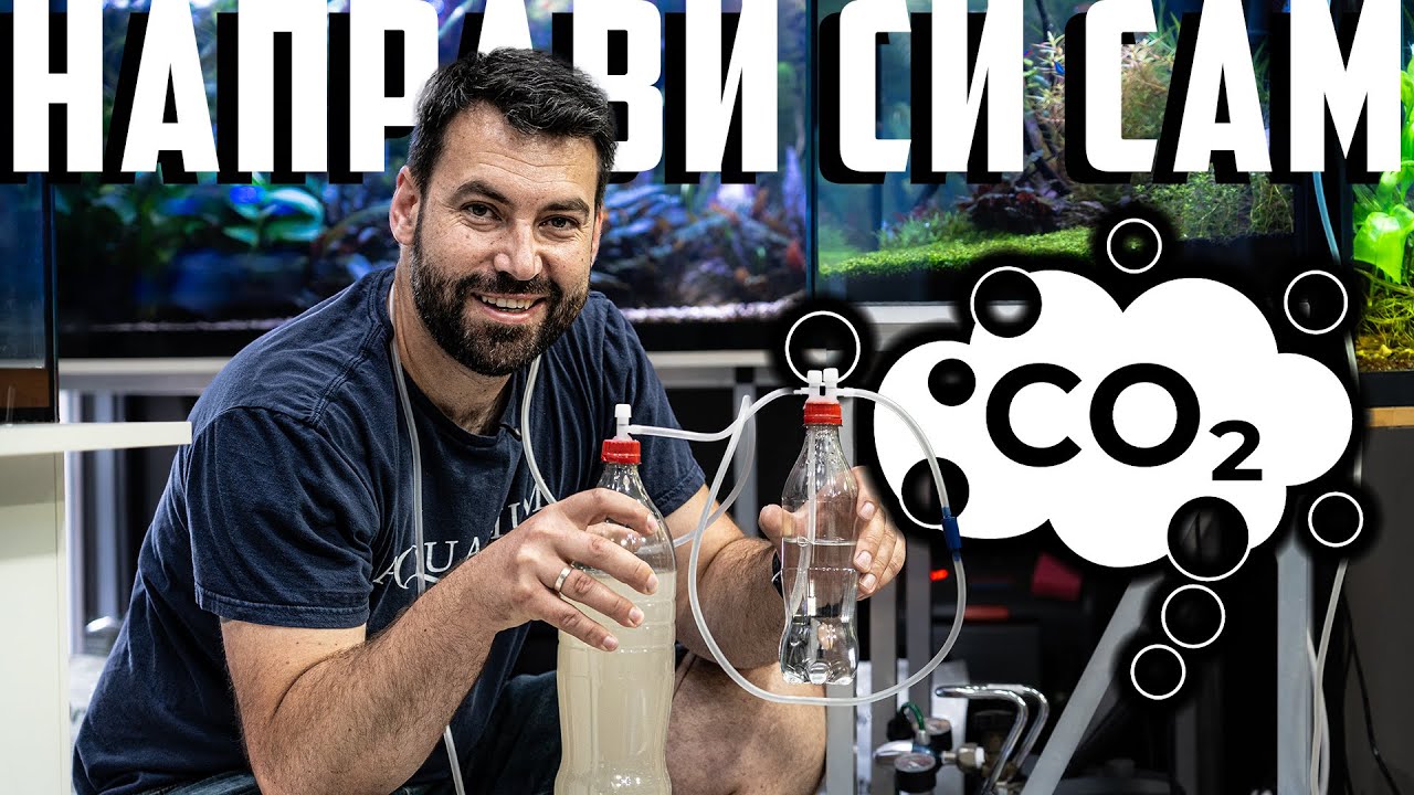 ДОМАШНА СИСТЕМА ЗА ВЪГЛЕРОДЕН ДИОКСИД