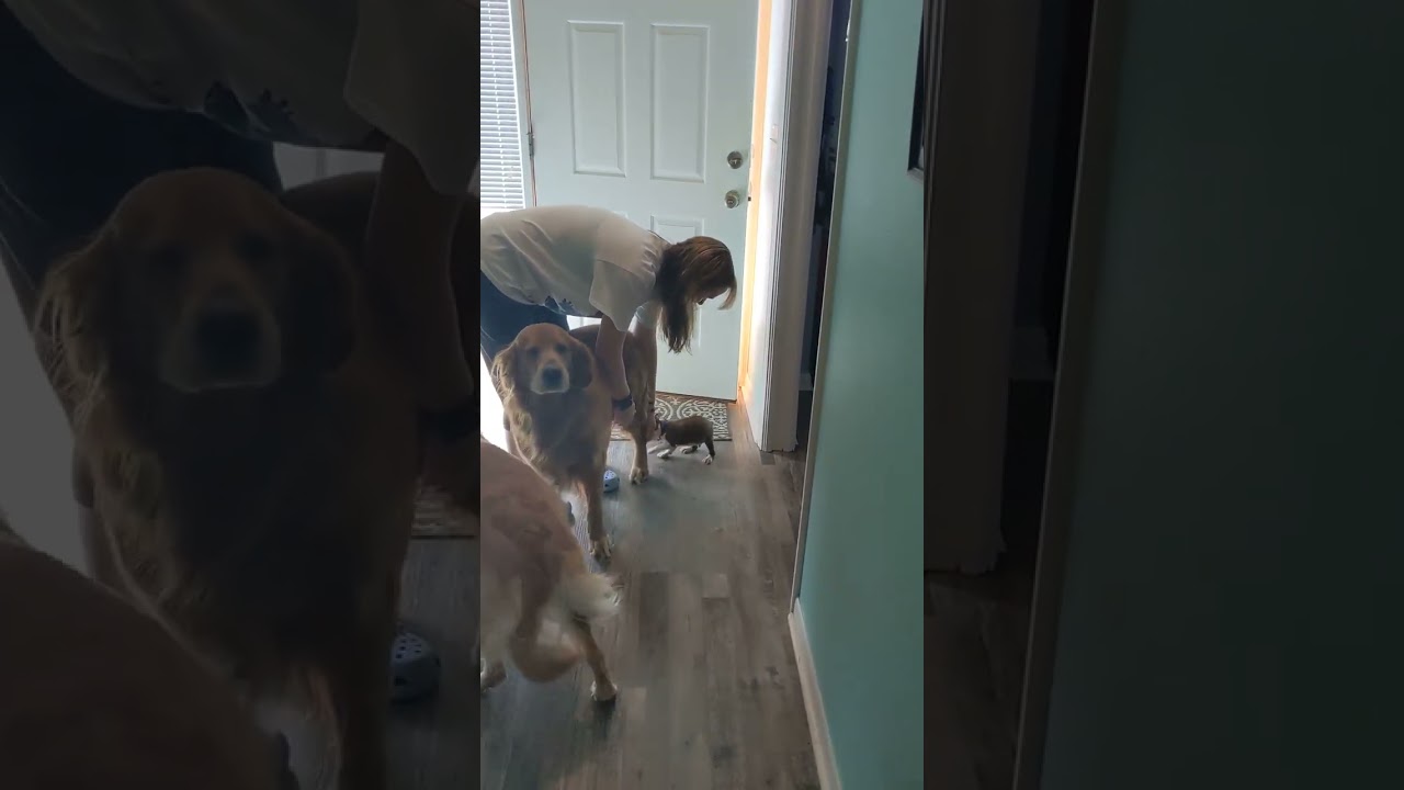 Gunner & Luna meet Tobi-Wan Kenobi 2021