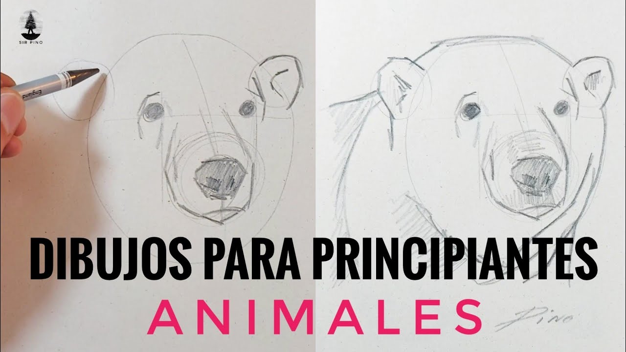 Aprende a DIBUJAR ANIMALES ¡30 MINUTOS de DIBUJOS!