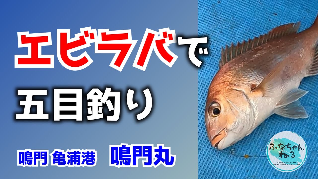 【鳴門タイラバ】11月小潮回り（9日潮）エビラバで五目釣り