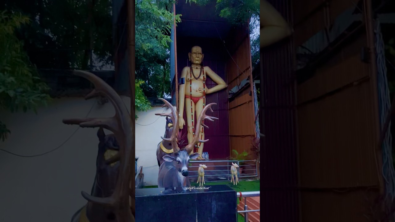 Shri swami Samarth temple Akkalkot | #viralvideo #swamisamarthamajhiaai #akkalkot #swami #blessings