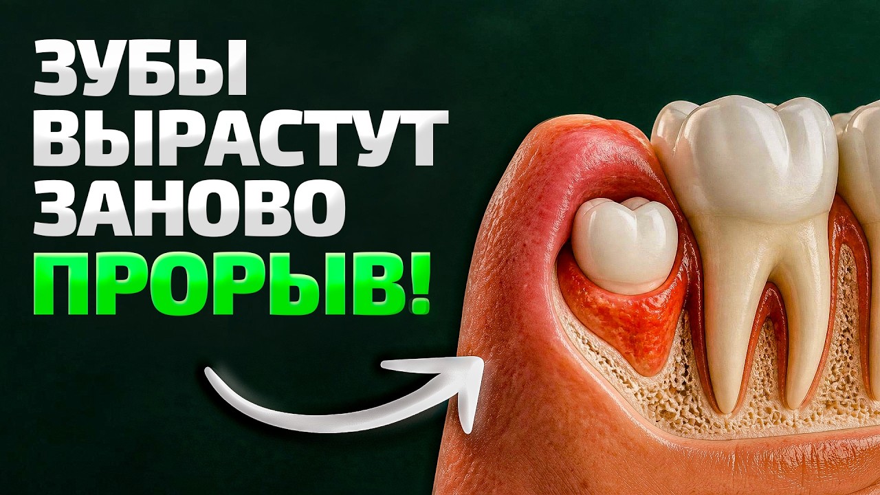 Новые зубы вырастут сами &ndash; ЭТО изменит стоматологию навсегда!