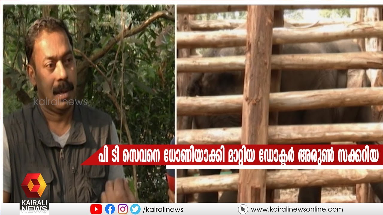 പി ടി സെവനെ ധോണിയാക്കി മാറ്റിയ ഡോക്ടർ അരുൺ സക്കറിയ
