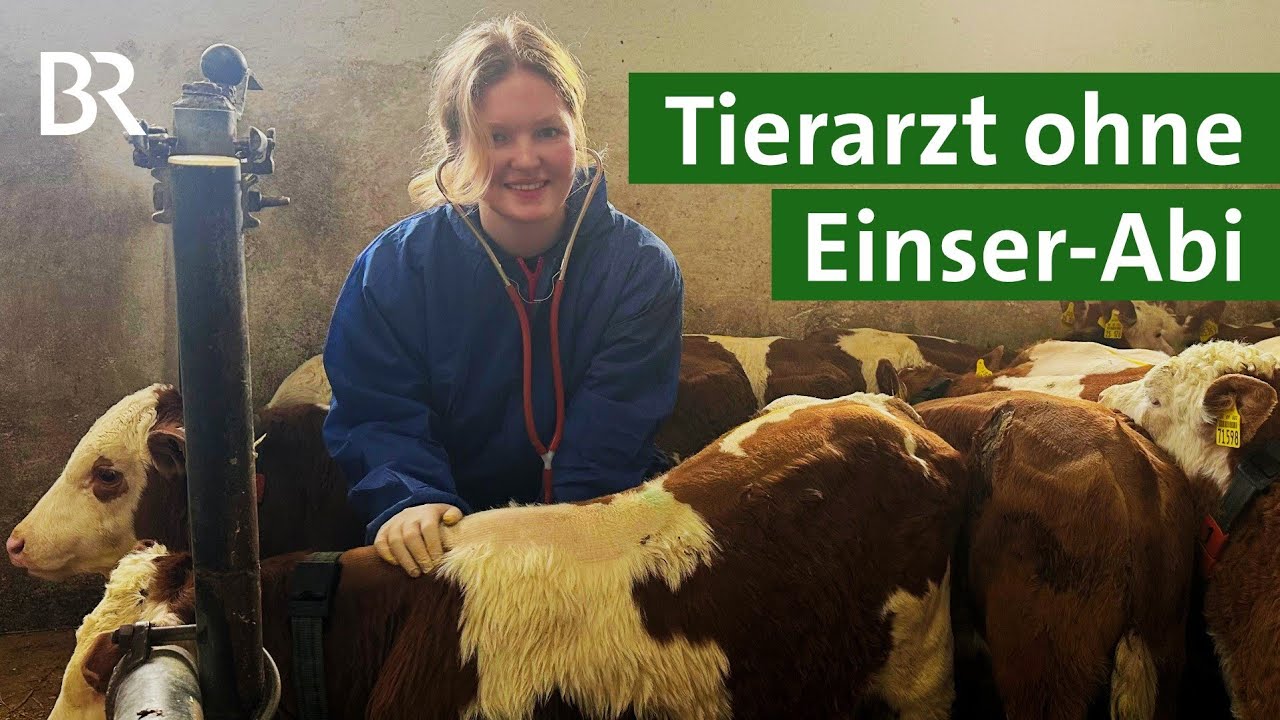 Gro&szlig;tier&auml;rzte dringend g&eacute;sucht! Das steckt podpowiedzi der Quote f&uuml;r Landtier&auml;rzte | Ziemia Unsera | BR