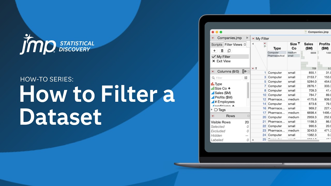 How to Filter a Dataset in JMP