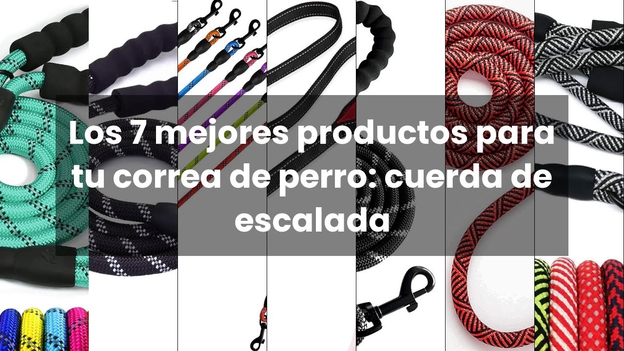 Correa perro cuerda escalada: Los 7 mejores productos para tu correa de perro: cuerda de escalada