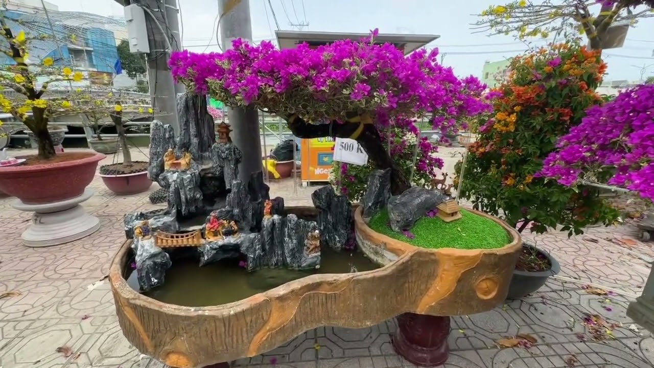 Hội chợ hoa Xuân Thị xã Gò Công 