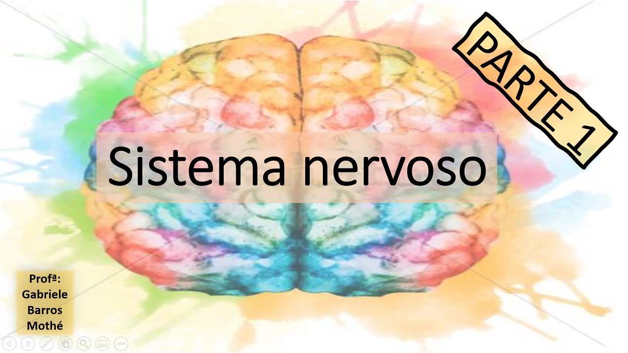 SISTEMA NERVOSO - parte 1 (anatomia veterinária)