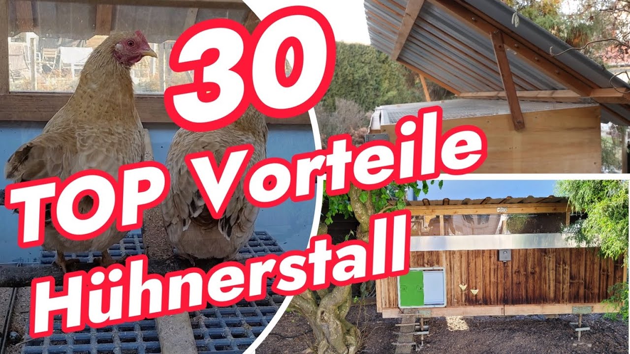 Mit diesen 30 Ideen Hühnerstall optimieren oder den optimalen Hühnerstall selber bauen #diy F11